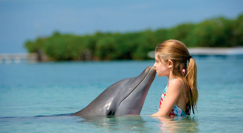 As crianças e os animais de estimação. Posso ter um golfinho?